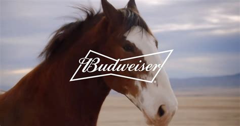 Budweiser Super Bowl 2022 TV Spot, 'A Clydesdale's Journey' created for Budweiser