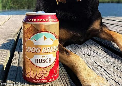 Busch Beer Dog Brew