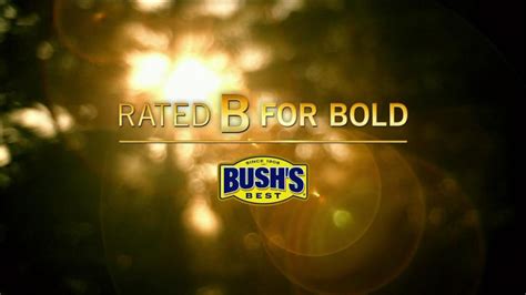 Bushs Best TV commercial - Art