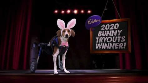 Cadbury TV Spot, 'Bunny Auditions'