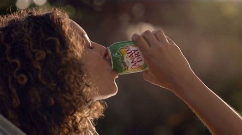 Canada Dry TV Spot, 'Cooler Hammock' Song by Wiz Khalifa featuring Ethan Stone