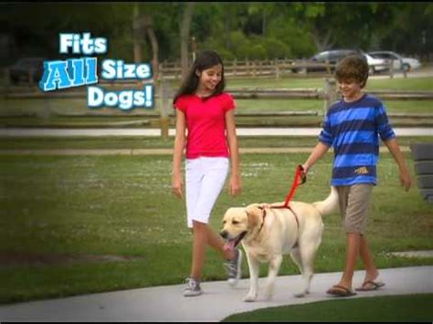Care.com TV Spot, 'Pets Are Family'