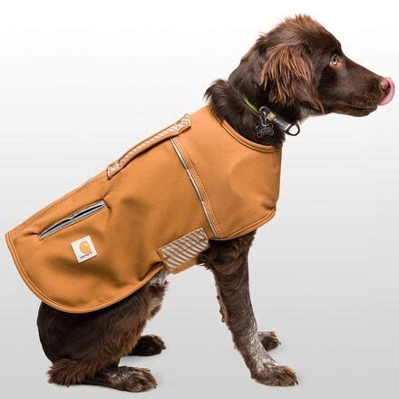 Carhartt Quick Duck Jacket TV commercial - Dog Musher