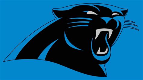 Carolina Panthers photo