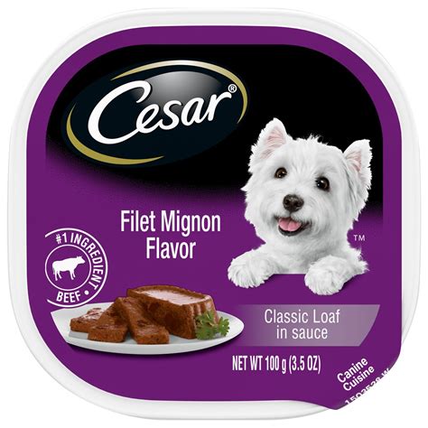 Cesar Classics Filet Mignon Flavor tv commercials