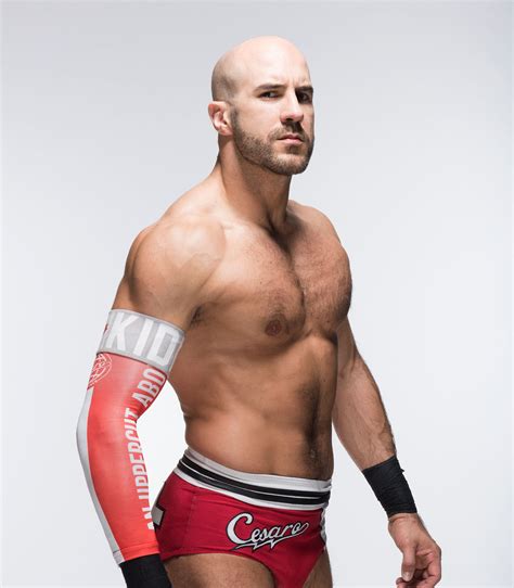 Cesaro photo