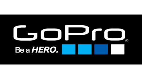 Check-Go Pro logo