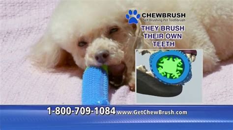 Chewbrush TV Spot, 'Try Brushing Your Pet's Teeth'