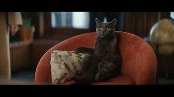 Chewy TV Spot, 'Inheritance' created for Chewy