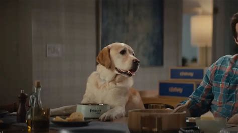 Chewy.com TV Spot, 'Chewy Keeps Our Pets Happy' created for Chewy