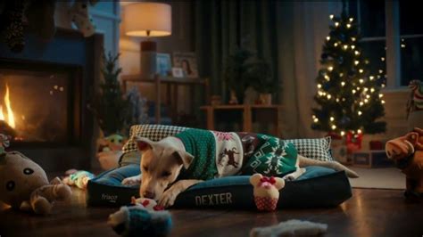 Chewy.com TV Spot, 'The Goods: Dog' created for Chewy