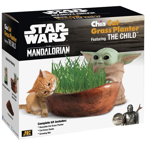 Chia Pet Cat Grass Planter Featuring The Child