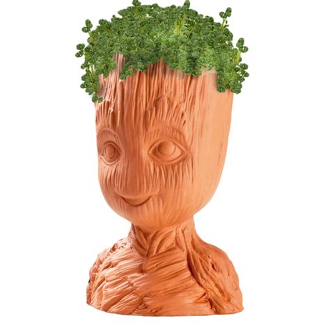 Chia Pet Chia Groot logo