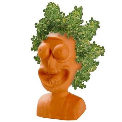 Chia Pet Chia Rick & Morty - Morty