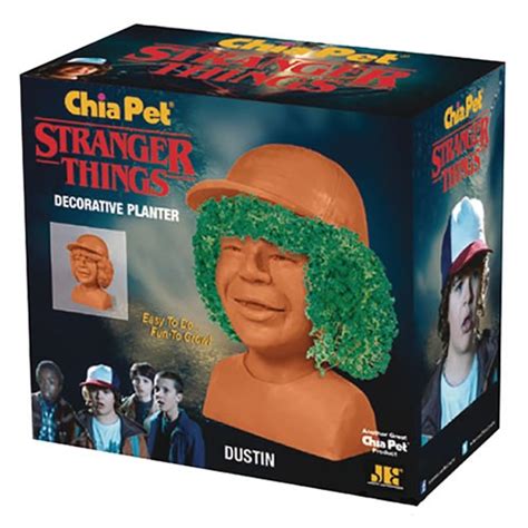 Chia Pet Chia Stranger Things Dustin logo