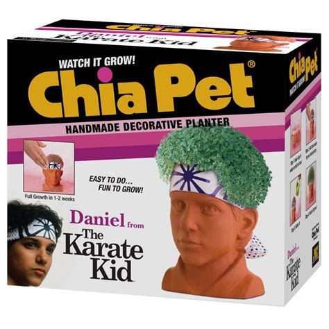 Chia Pet Daniel from The Karate Kid logo