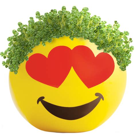 Chia Pet Emoji Create Your Own tv commercials