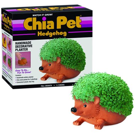 Chia Pet Hedgehog logo