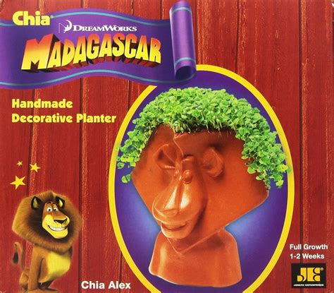 Chia Pet Madagascar: Marty logo