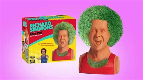 Chia Pet TV Spot, 'Richard Simmons, Bob Ross and Trolls'