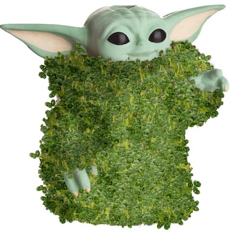 Chia Pet The Child Using The Force logo