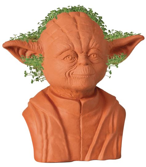 Chia Pet Yoda - Star Wars tv commercials