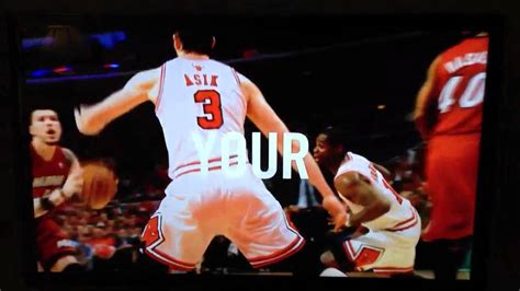 Chicago Bulls photo