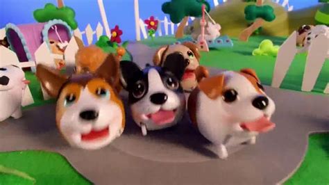 Chubby Puppies Ultimate Dog Park TV Spot, 'Everything a Dog Could Want' created for Chubby Puppies