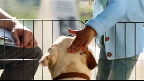 Coldwell Banker TV Spot, 'Old Dog, New Dog' featuring Michelle Ells