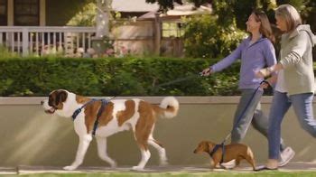 Cologuard TV Spot, 'Big Dog, Little Dog'