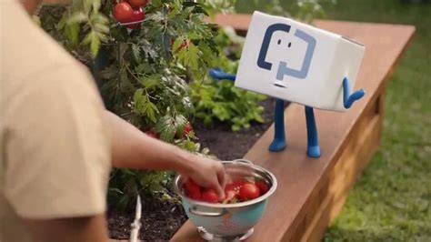 Cologuard TV commercial - Tomato Garden