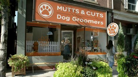 Constant Contact TV commercial - Groomers