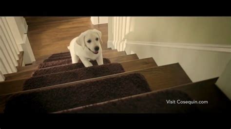 Cosequin TV Spot, 'Joint Health Supplements for Your Dog'