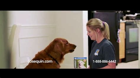 Cosequin TV commercial - Joint Health Support for Veteran Service Dog