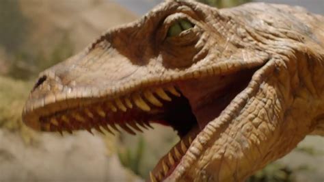 Creation Museum TV Spot, 'Prepare to Believe: What's Inside'