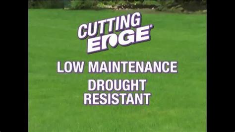 Cutting Edge Grass Seed TV commercial