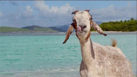 DIRECTV TV commercial - Hannah Davis and Her Goat