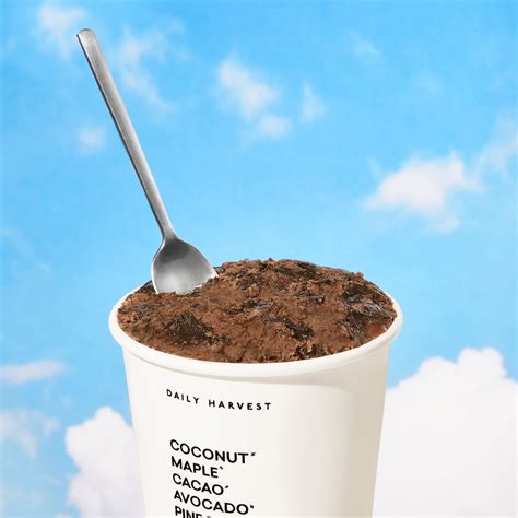 Daily Harvest Chocolate + Ooey, Gooey Midnight Fudge Scoops