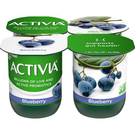 Dannon Activia Dairy-Free Blueberry logo