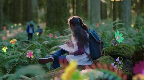 Discover the Forest TV Spot, 'Our Colors' created for Discover the Forest