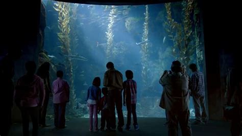 Disney Parks TV Spot, 'Disney Side: Under the Sea' featuring Roger Leopardi