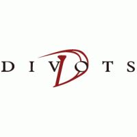 Divot Group tv commercials