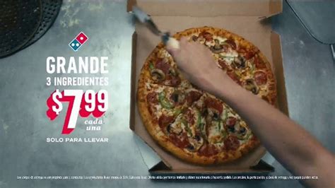 Dominos Carryout Insurance TV commercial - Culpa