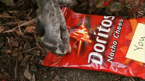 Doritos TV Spot, 'Man's Best Friend'