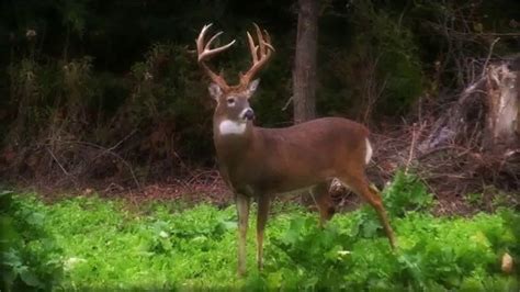Drury Outdoors DeerCast TV Spot, 'You Time' created for Drury Outdoors