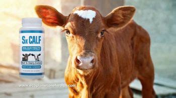 EcoPlanet One Health Sx Calf Oral Electrolyte TV Spot, 'Save Calves, Time and Money'