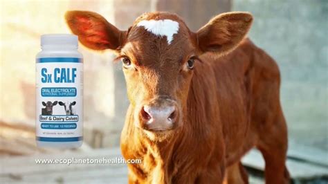 EcoPlanet One Health Sx Calf Oral Electrolyte TV commercial - Save Calves, Time and Money