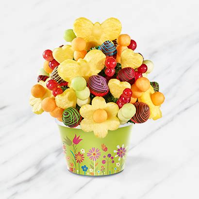 Edible Arrangements Rainbow and Butterflies Bouquet logo