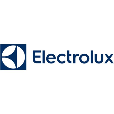 Electrolux ErgoRapido tv commercials