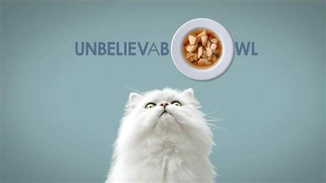 Fancy Feast Broths TV Spot, 'Get Ready' created for Fancy Feast